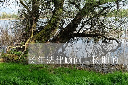 长年法律顾问 长期的 长年法律顾问 长期的